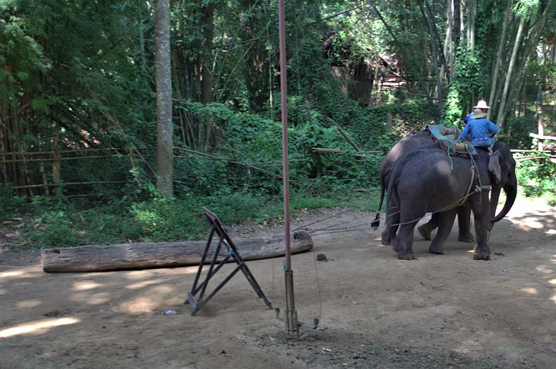 Thailand-2015-234