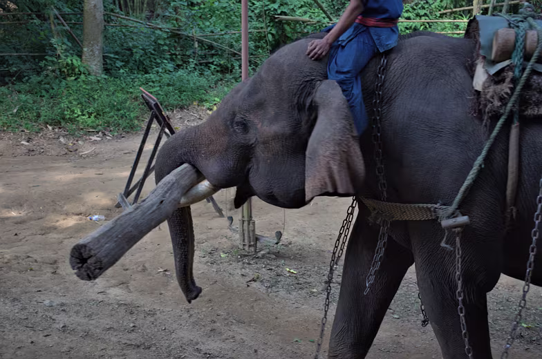 Thailand-2015-236