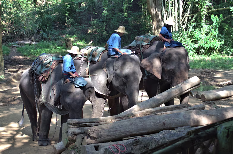 Thailand-2015-239
