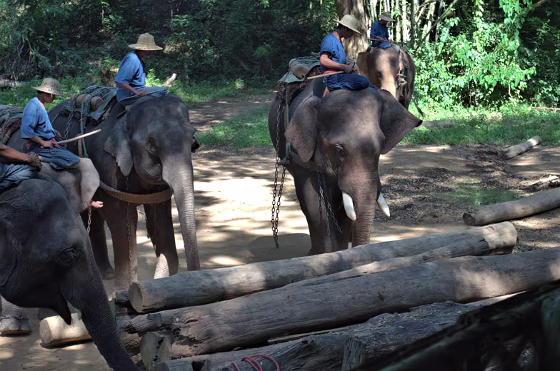 Thailand-2015-240