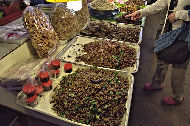 Thailand-2015-339