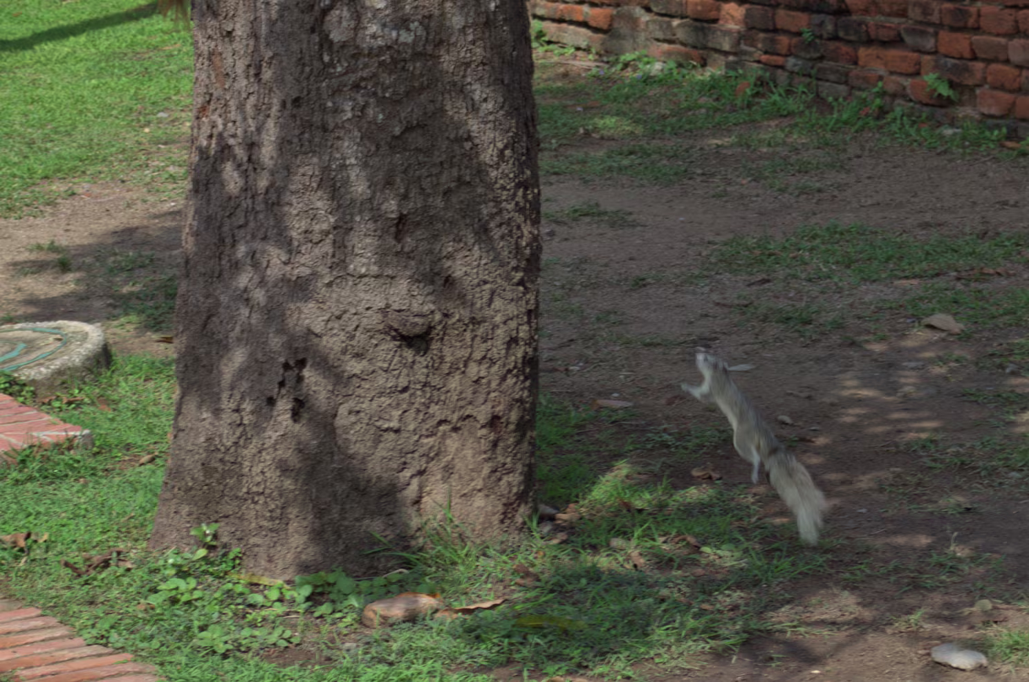 Ayuttaya - Altstadt