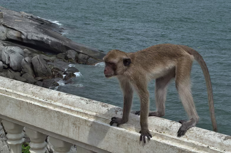 Thailand-2015-470