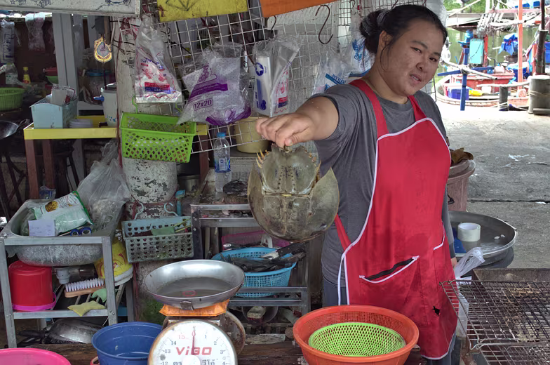 Thailand-2015-480