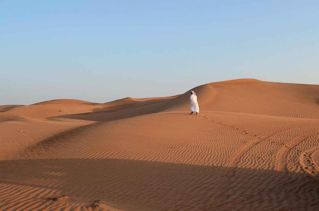 Dubai - Ausflug in die Wüste