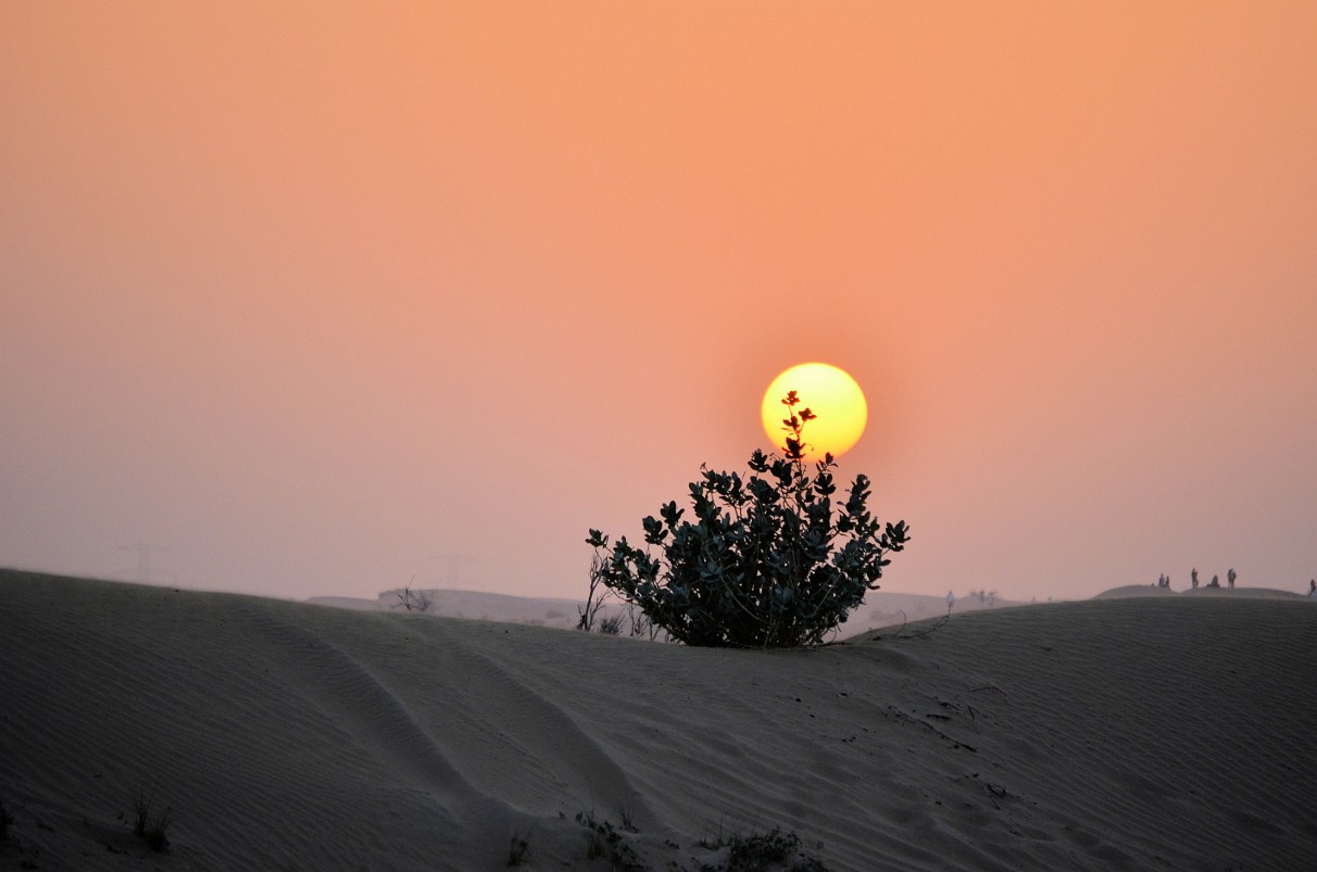 Dubai - Ausflug in die Wüste