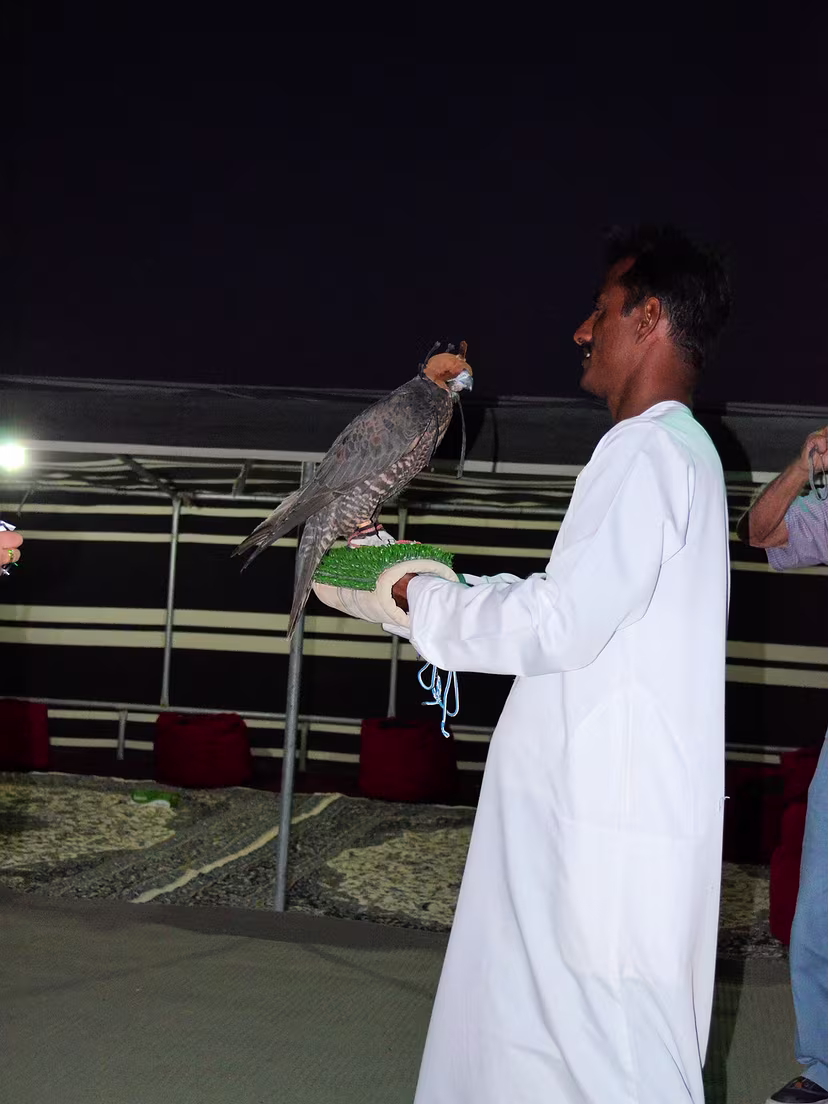 Dubai - Ausflug in die Wüste