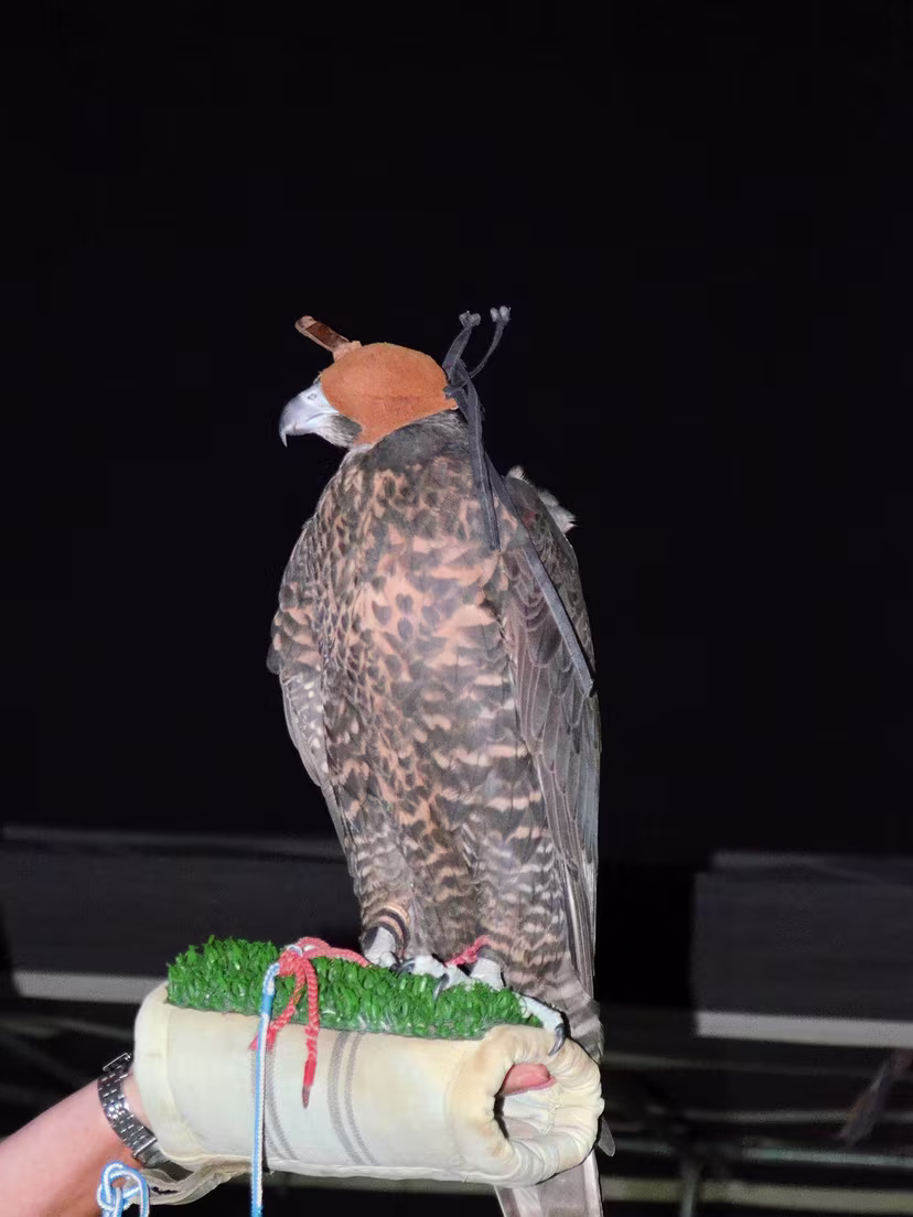 Dubai - Ausflug in die Wüste