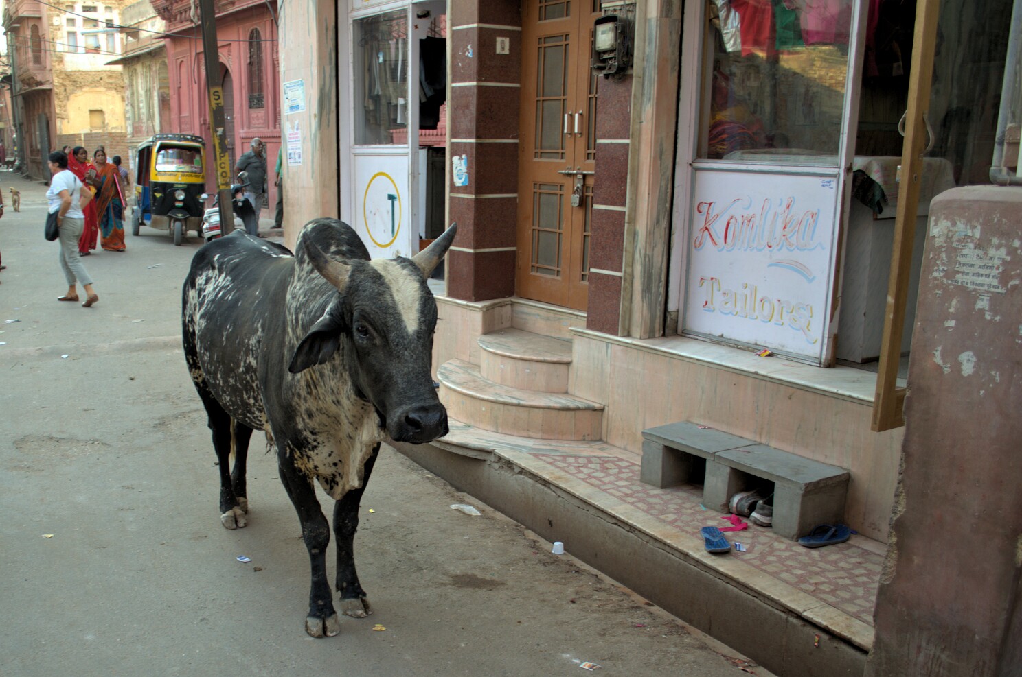 Bikaner