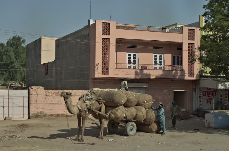078-Rajahstan-2014
