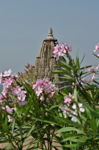 314-Rajahstan-2014