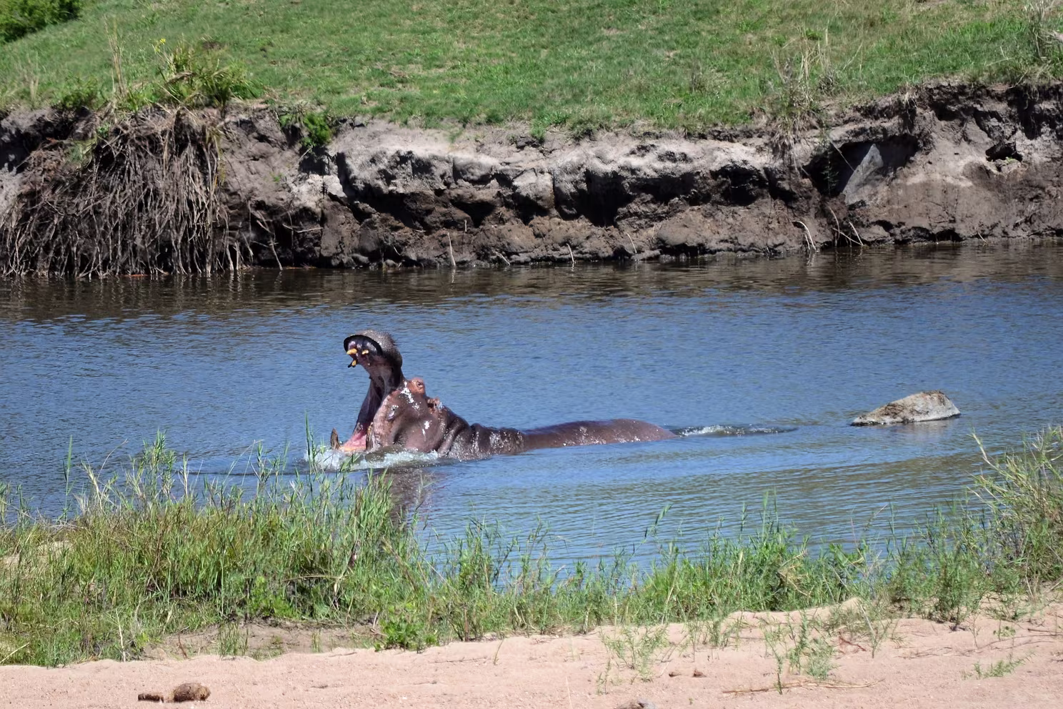 Krüger Nationalpark