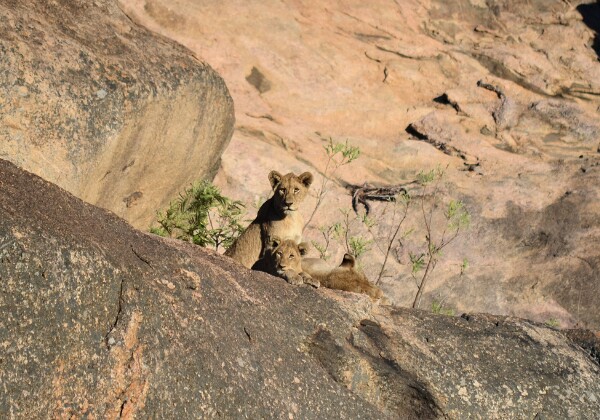 Südafrika 2012 Südafrika 2012 Photos von meinem Urlaub in Südafrika September/Oktober 2012