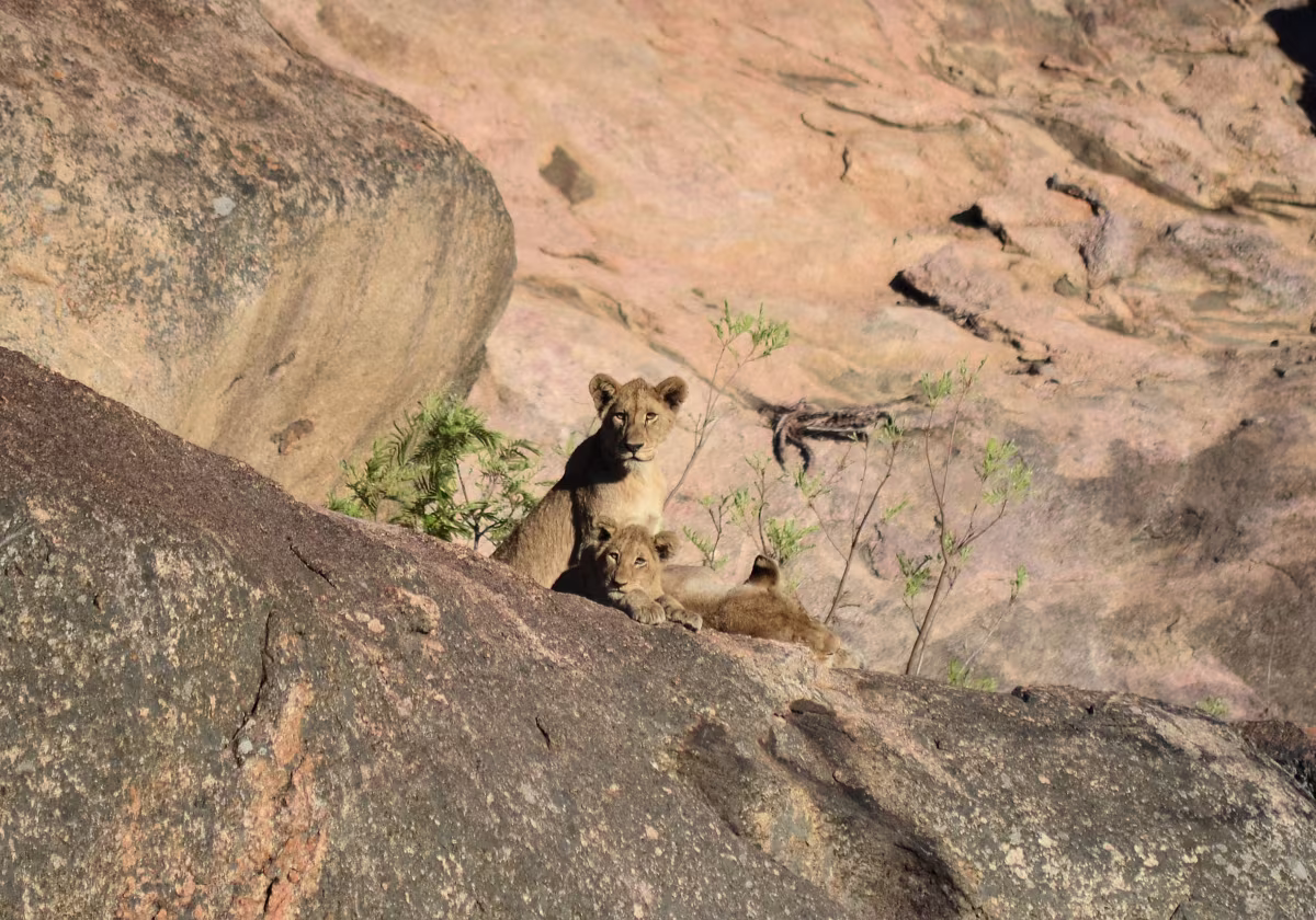 Südafrika 2012 Südafrika 2012 Photos von meinem Urlaub in Südafrika September/Oktober 2012