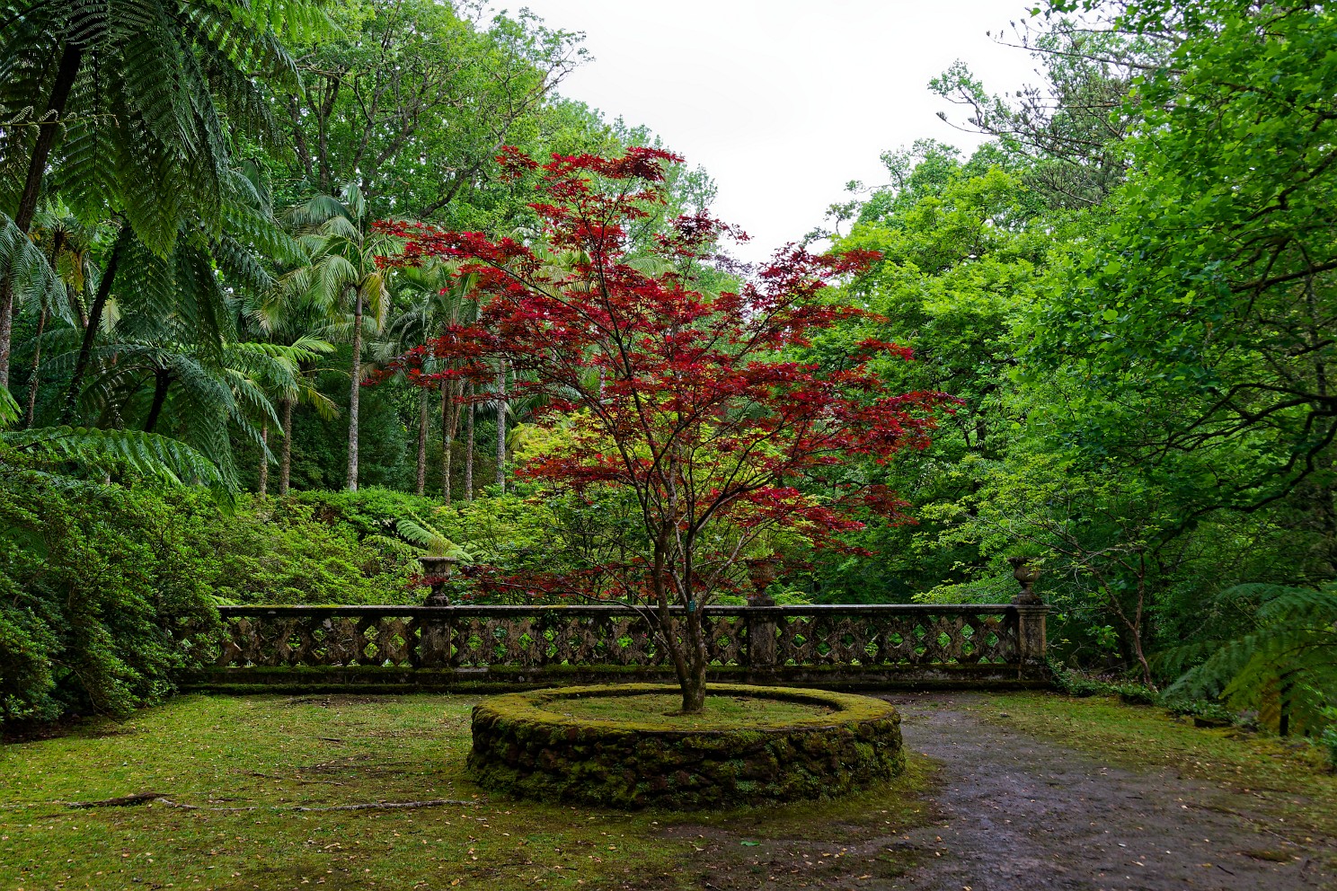 Terra Nostra Park auf São Miguel