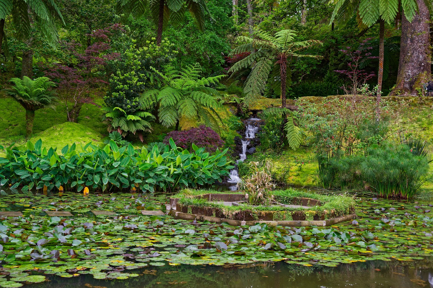 Terra Nostra Park auf São Miguel