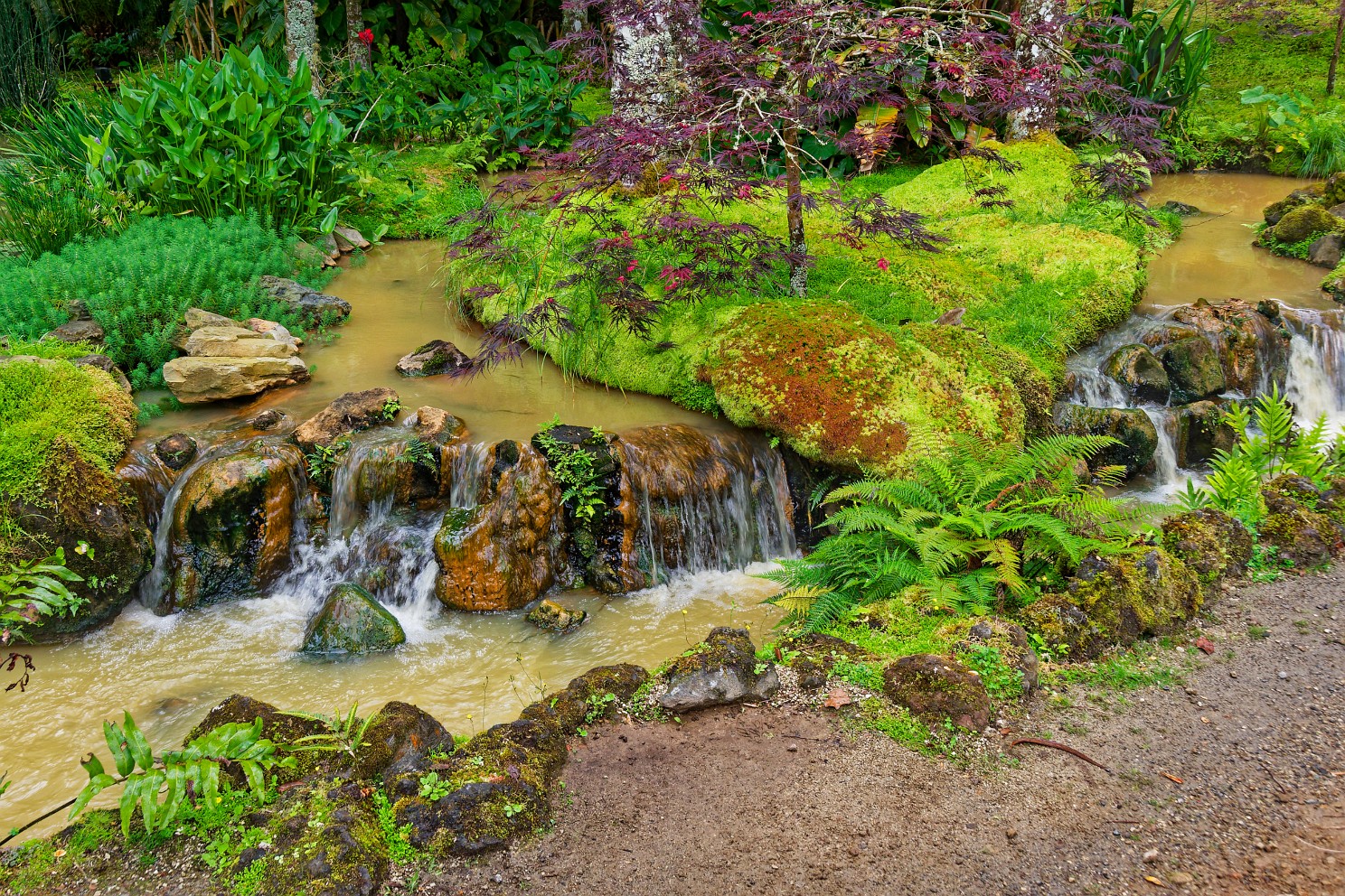 Terra Nostra Park auf São Miguel