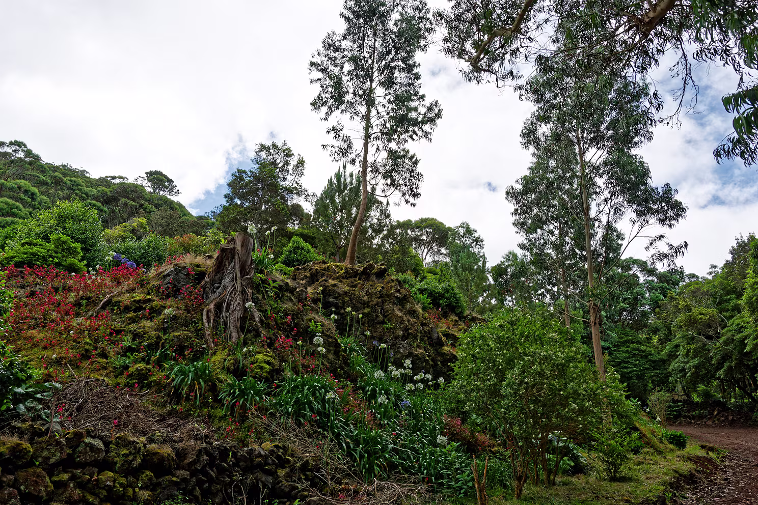 Nordwestküste von Terceira