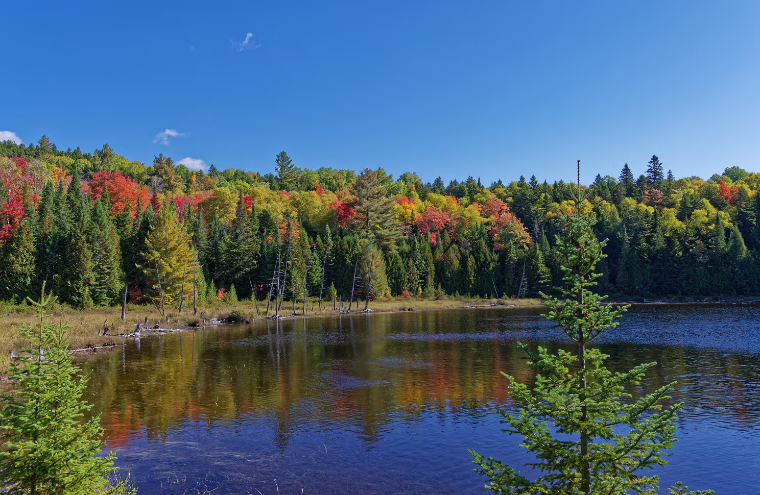 Lac des Atocas
