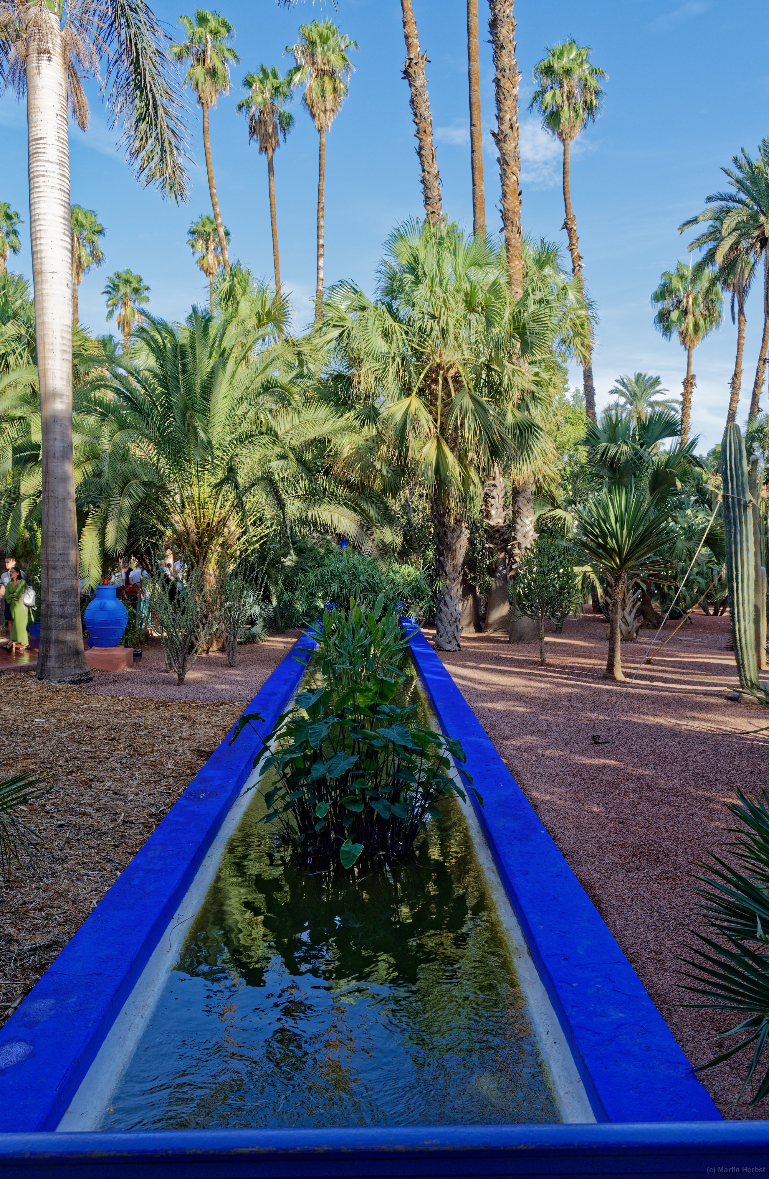 Marrakesch - Jardin Majorelle 