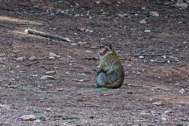 Marokko_20231005103415102